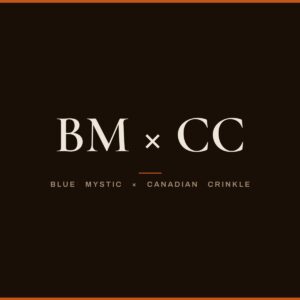 BM x CC